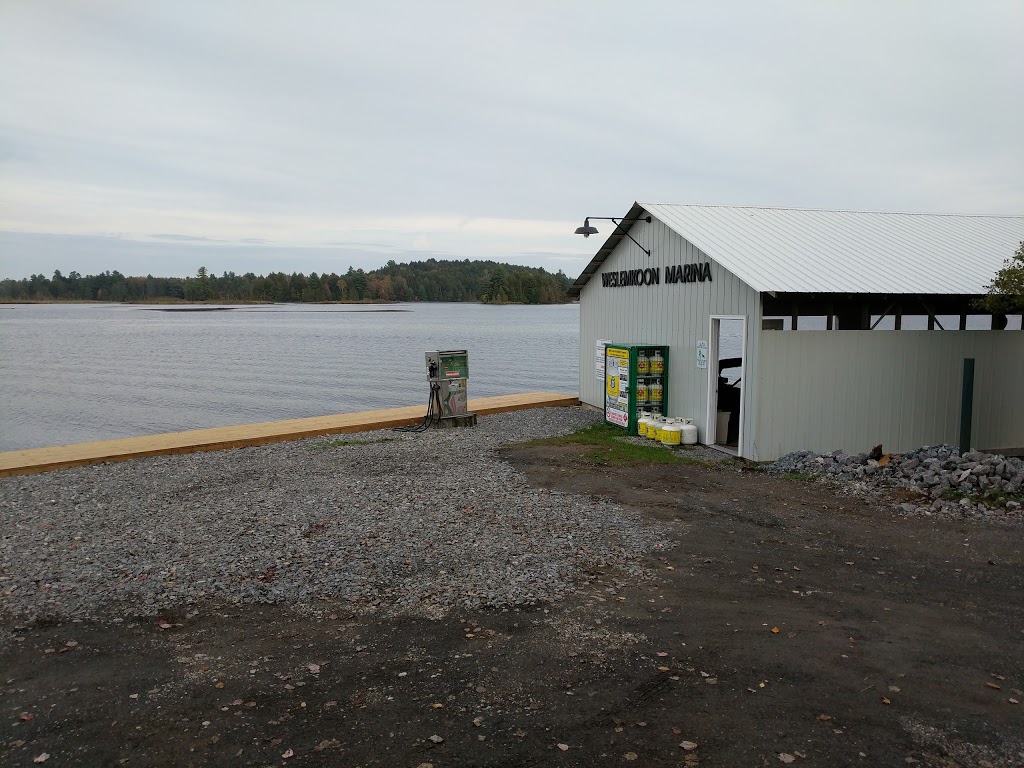 Weslemkoon Marina | 188 Grannys Ln, Gilmour, ON K0L 1W0, Canada | Phone: (613) 474-5201