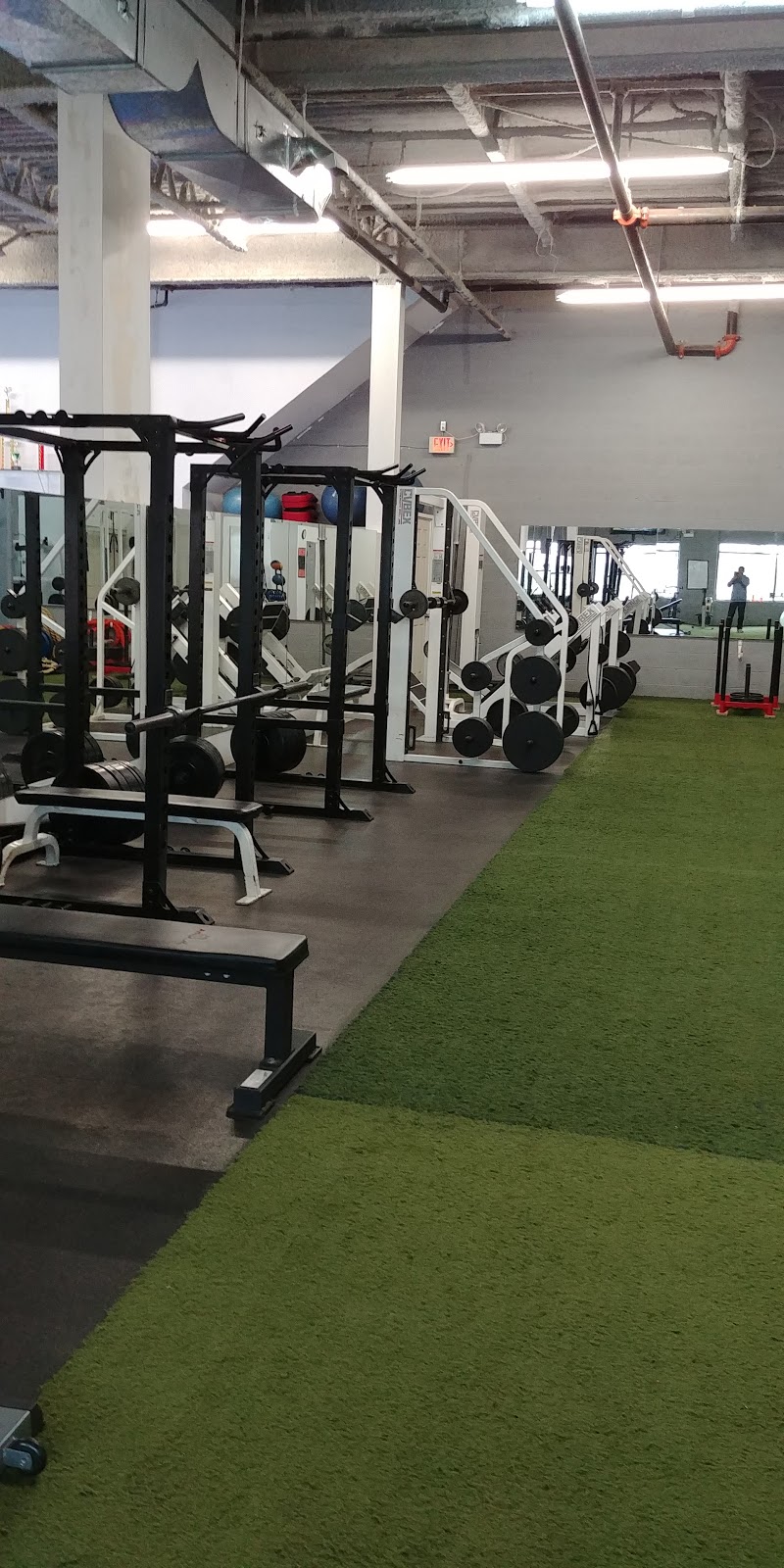 1RM Fitness Zone | 70 Devon Rd Unit#11, Brampton, ON L6T 5K7, Canada | Phone: (416) 399-0750