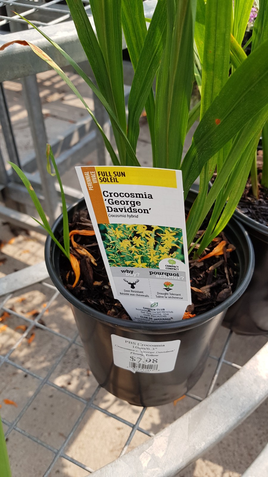 The Home Depot Garden Center | 1590 Regent Ave W, Winnipeg, MB R2C 4H4, Canada