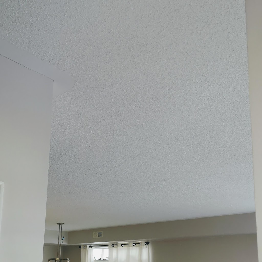 Complete package painting | 190 Sherway Dr, Nepean, ON K2J 2G8, Canada | Phone: (613) 816-3686