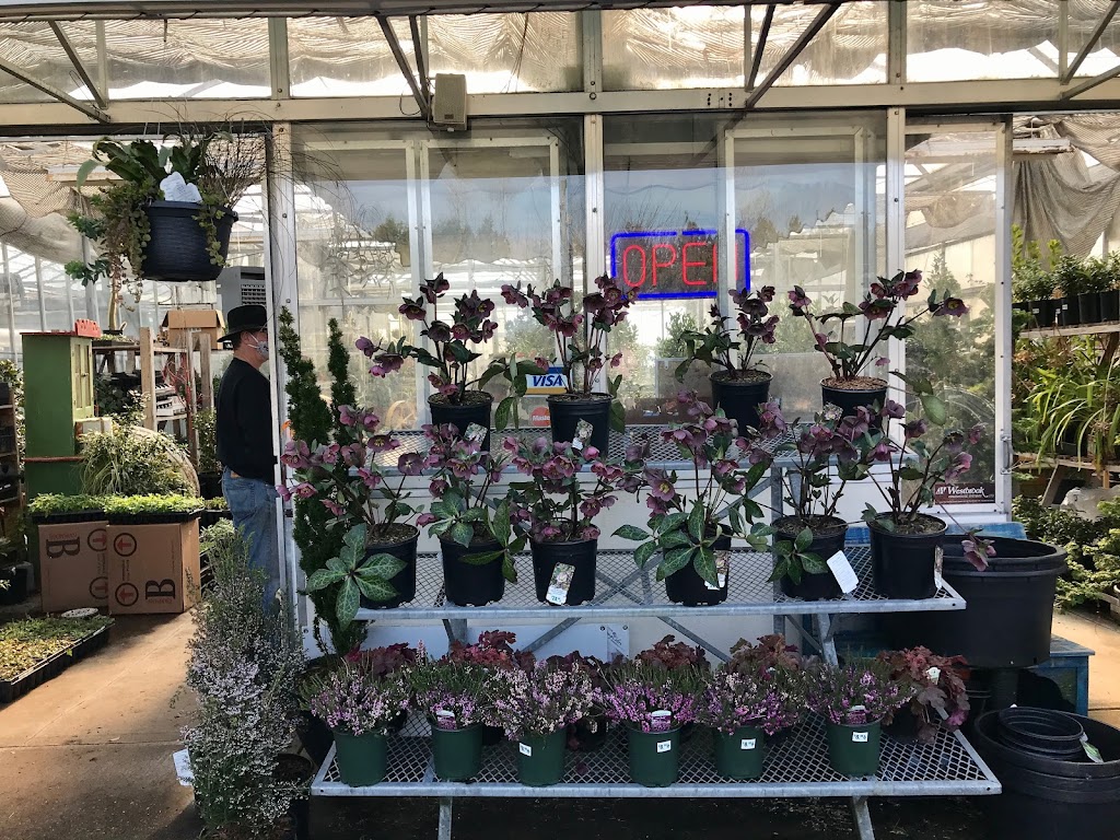 Aarts Nursery Ltd | 7200 216 St, Langley, BC V2Y 2S3, Canada | Phone: (604) 888-3555