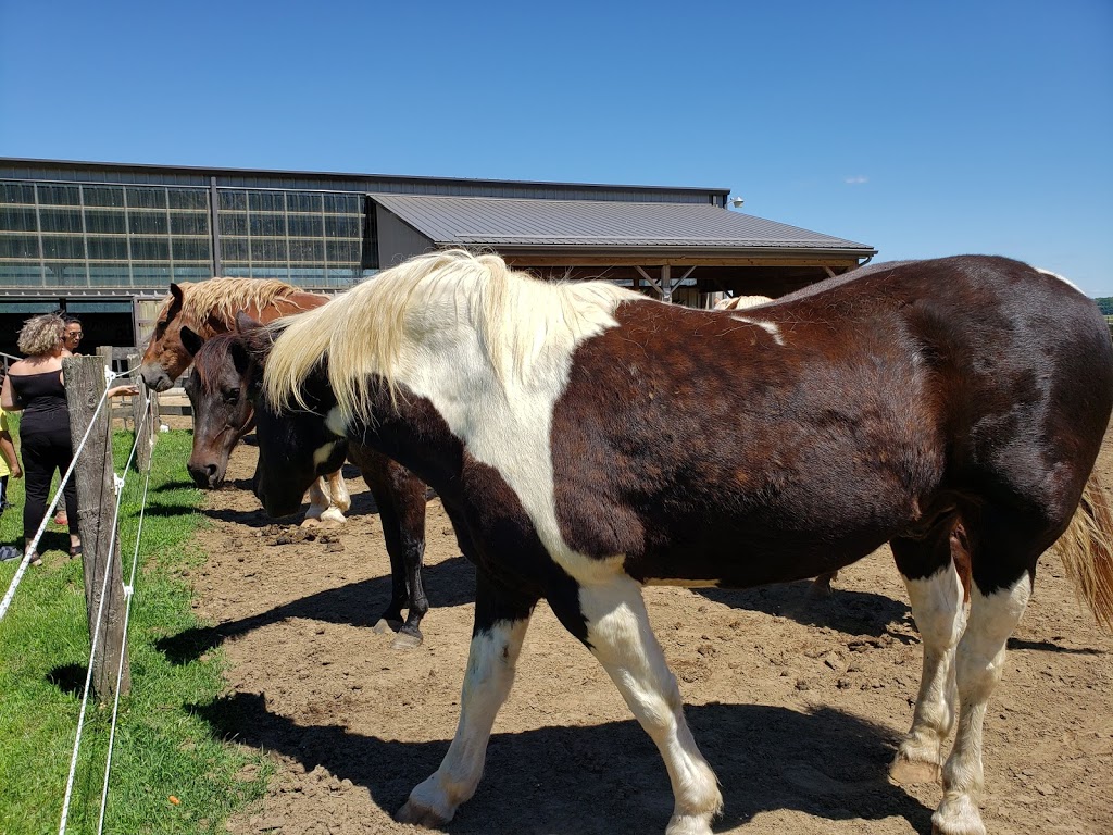 Spirits Whisper | 55807 Jackson Line, Straffordville, ON N0J 1Y0, Canada | Phone: (519) 872-8800