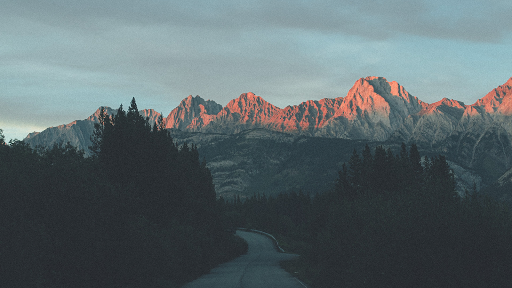 Tibyrica photography | 200 Shawnessy Dr SW Unit 94, Calgary, AB T2Y 1G8, Canada | Phone: (778) 389-1773