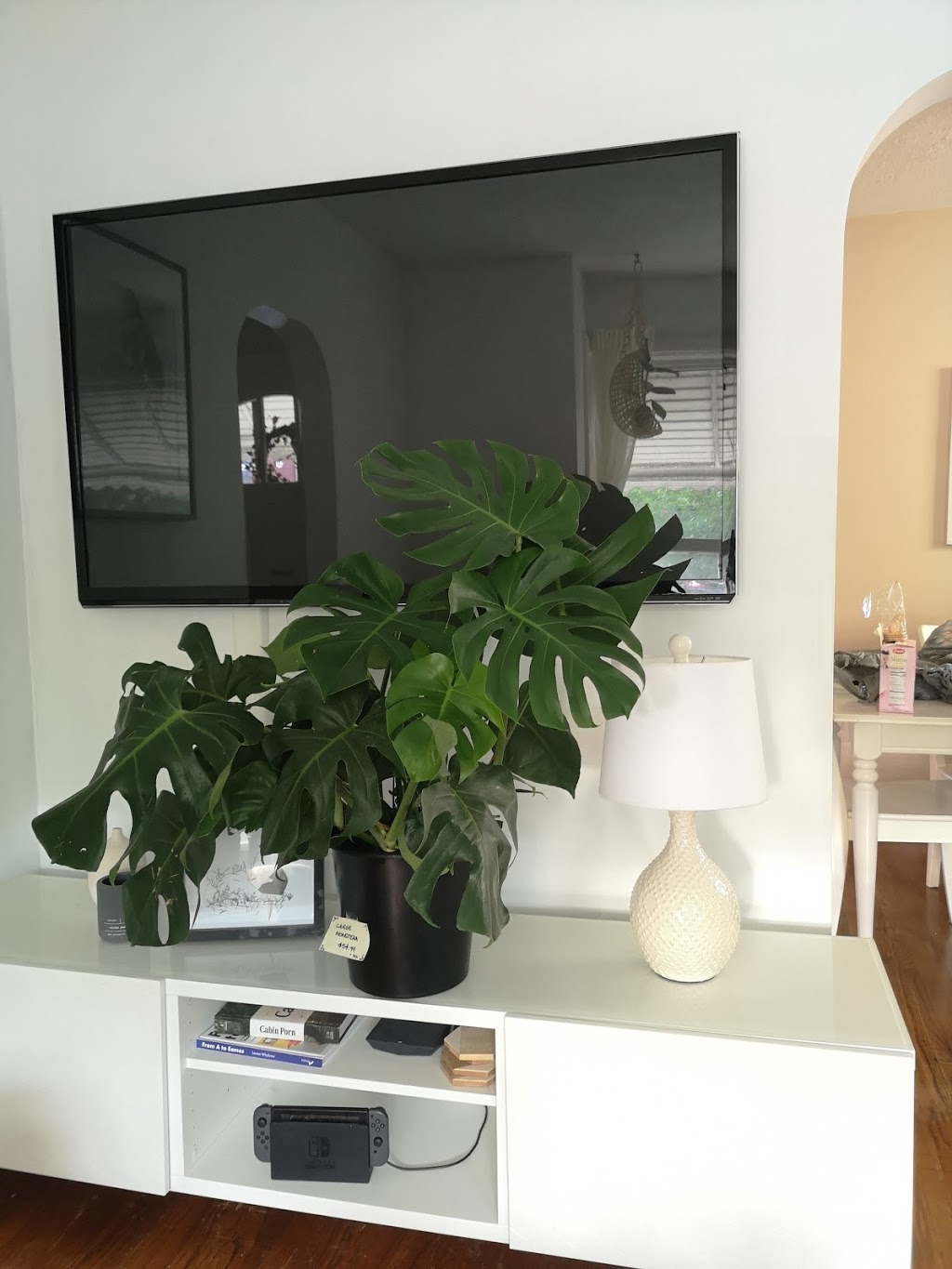Plants & Planet | 2372 Lake Shore Blvd W, Etobicoke, ON M8V 1B6, Canada | Phone: (416) 252-8002