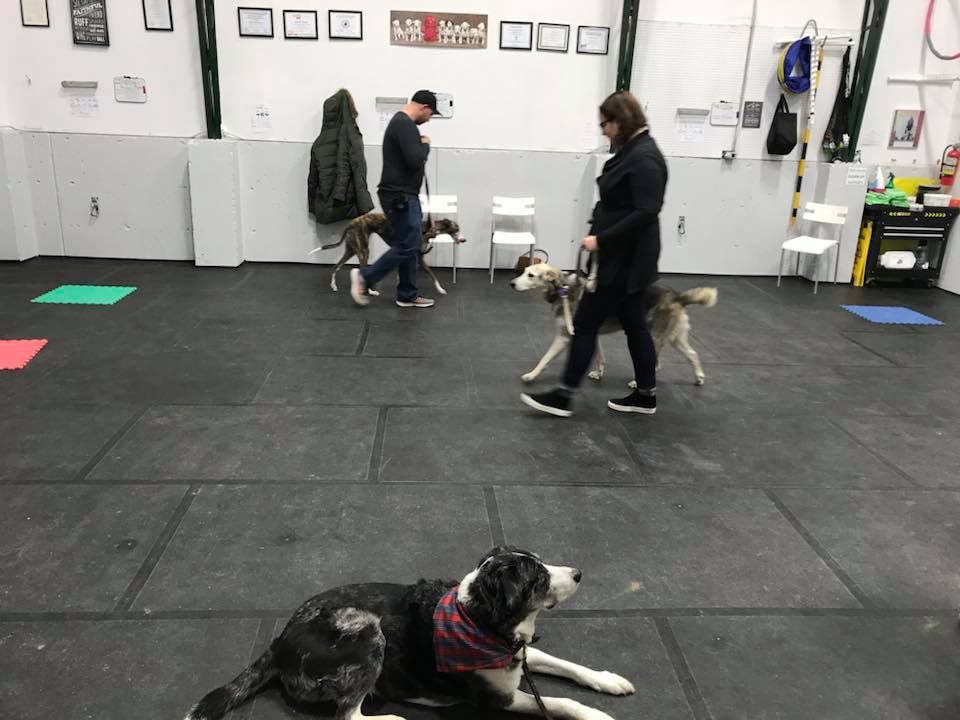 JV Training | 32 Wells St, Guelph, ON N1E 1K7, Canada | Phone: (226) 979-8109
