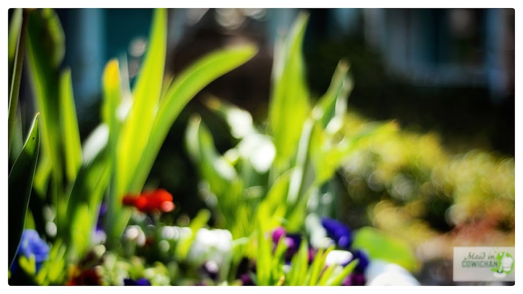 Maid in Cowichan Services Inc. | F - 4705, Trans-Canada Hwy, Duncan, BC V9L 6E1, Canada | Phone: (250) 597-1278