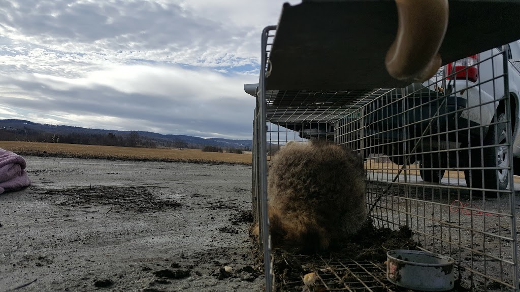 Eagle Point Wildlife Management Area | 2 Woodlawn Ave, Newport, VT 05855, USA