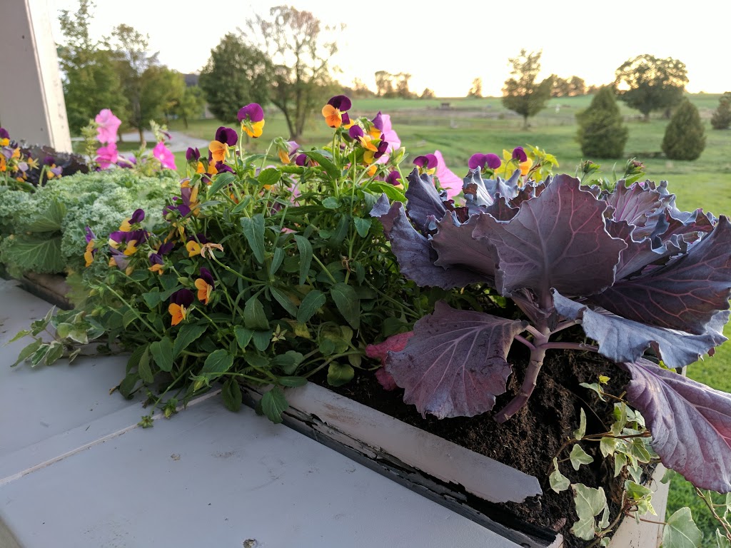 WaterStone Estate & Farms | 17900 Dufferin St, King, ON L3Y 4V9, Canada | Phone: (905) 898-1530