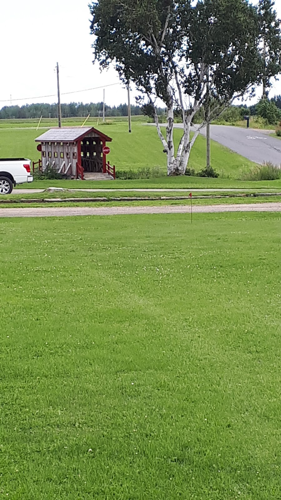 Ferme Gaston Morin et Fils Inc. | 265 Chem. de la Chute Blanche, Sainte-Jeanne-dArc, QC G0W 1E0, Canada | Phone: (418) 276-4166