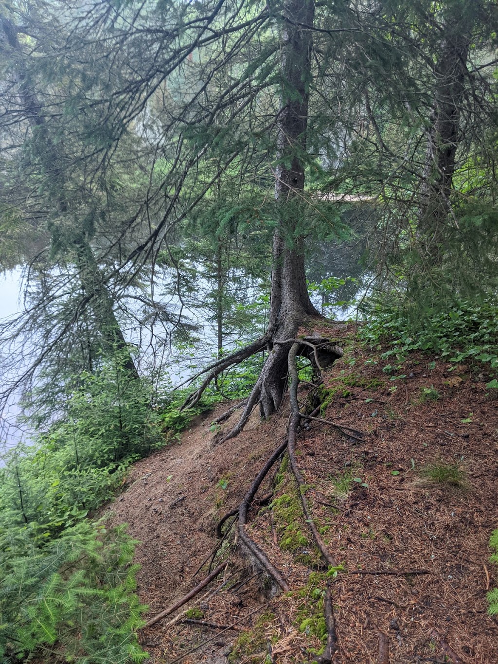 Chutes Provincial Park | 660 Imperial St N, Massey, ON P0P 1P0, Canada | Phone: (705) 865-2021