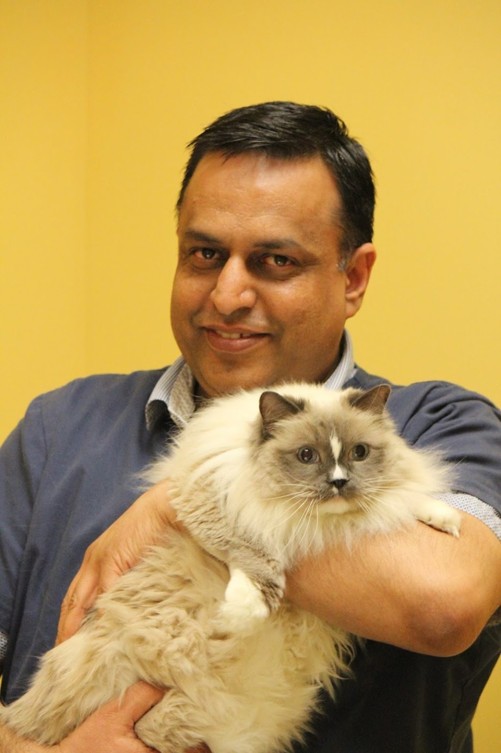 Creek Side Veterinary Hospital | 12424 Symons Valley Rd NW Unit # 27, Calgary, AB T3P 0A3, Canada | Phone: (403) 274-6633