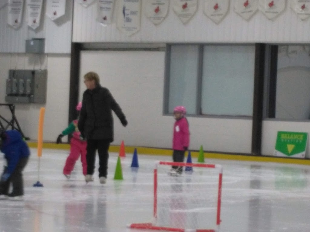 Hamilton Skating Club | 25 Hester St, Hamilton, ON L9A 2N3, Canada | Phone: (905) 388-9050