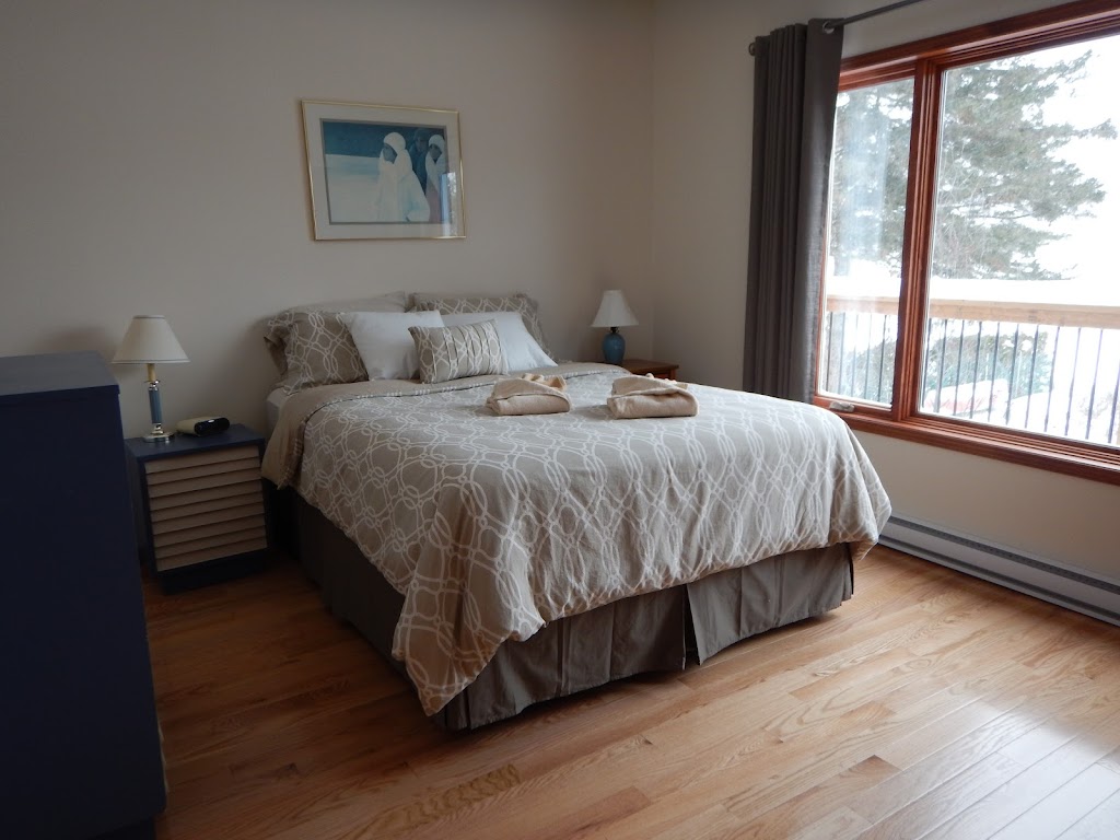 Chalets Mont-Tremblant | 572 Chem. du Lac Duhamel, Mont-Tremblant, QC J8E 2H1, Canada | Phone: (819) 243-3108