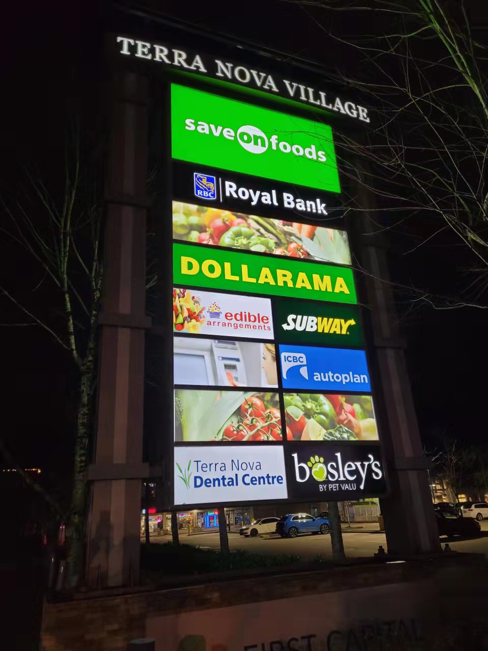 Citistar Insurance Agencies Ltd | 3671 Westminster Hwy #100, Richmond, BC V7C 5V2, Canada | Phone: (604) 267-2123