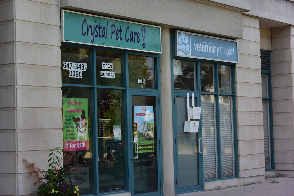 Kew Beach Veterinary Hospital | 1737 Queen St E, Toronto, ON M4L 6S5, Canada | Phone: (416) 778-4598