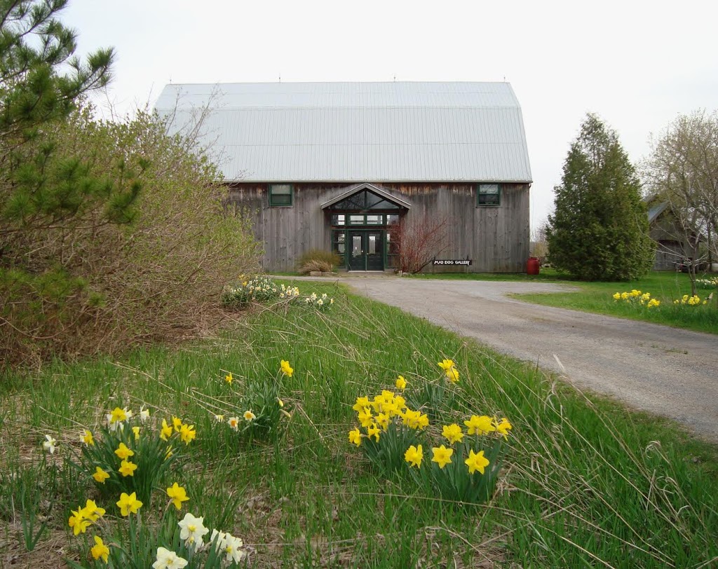 Mad Dog Gallery | 525 County Rd 11, Picton, ON K0K 2T0, Canada | Phone: (613) 476-7744
