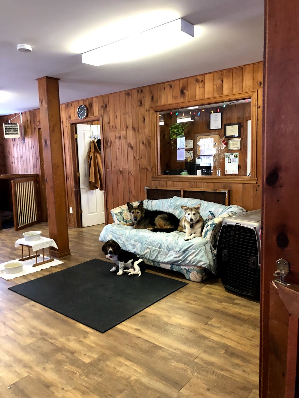 Ivy league canine center | 775 Chemin St Thomas, Rigaud, QC J0P 1P0, Canada | Phone: (514) 718-7475