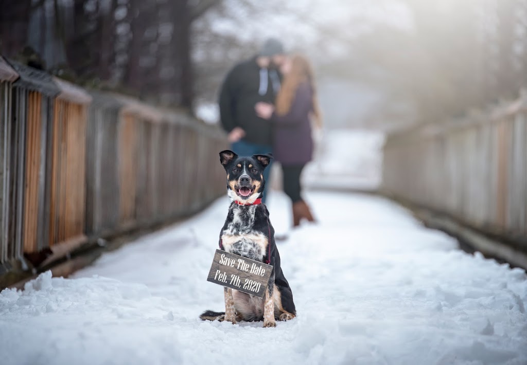 Country Roads Photography | 7 Deaken Dr, East Luther Grand Valley, ON L9W 0Z8, Canada | Phone: (647) 200-3241