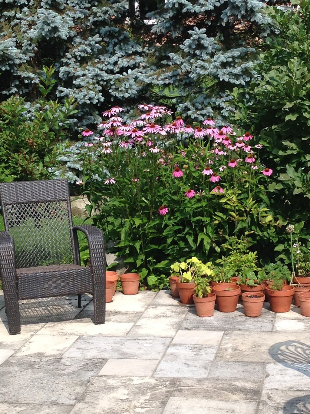 The Garden Artist | 2655 Bloor St W #301, Etobicoke, ON M8X 1A3, Canada | Phone: (905) 330-6226