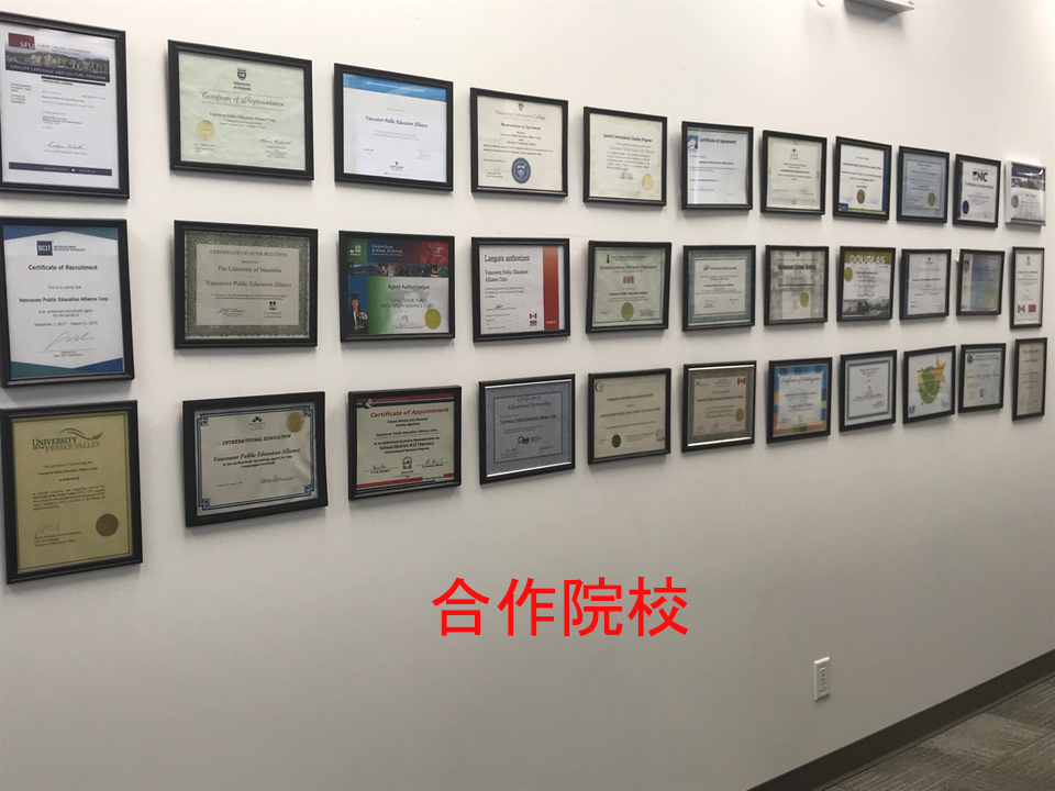 VPEA Vancouver | 4501 Kingsway #302, Burnaby, BC V5H 0E5, Canada | Phone: (604) 249-8732