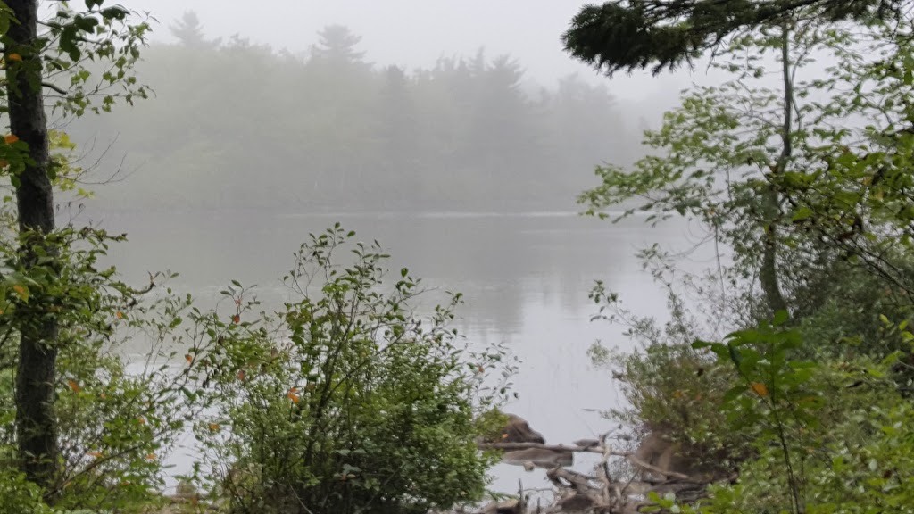 Cyril Smith Golden Acres Park | Dartmouth, NS B3A 4X8, Canada