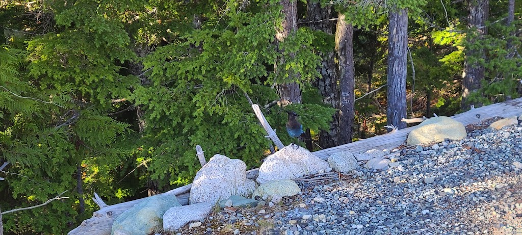 Panorama Trail | Unnamed Road, Britannia Beach, BC V0N 1J0, Canada | Phone: (604) 892-2550