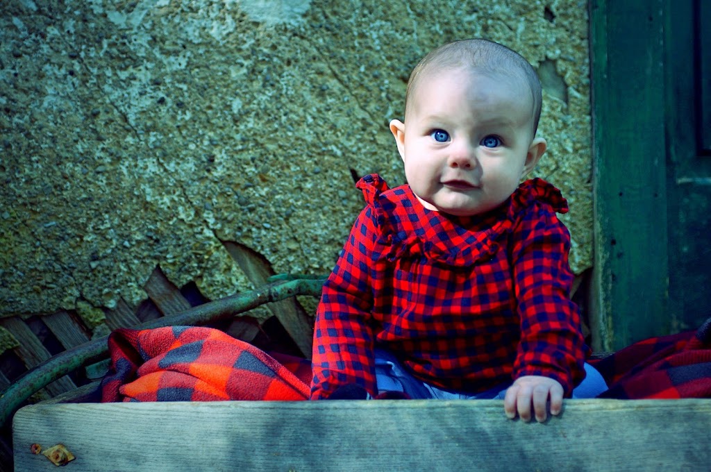Jason Booth Photography | 195 Erie St, Collingwood, ON L9Y 1P8, Canada | Phone: (705) 607-1781
