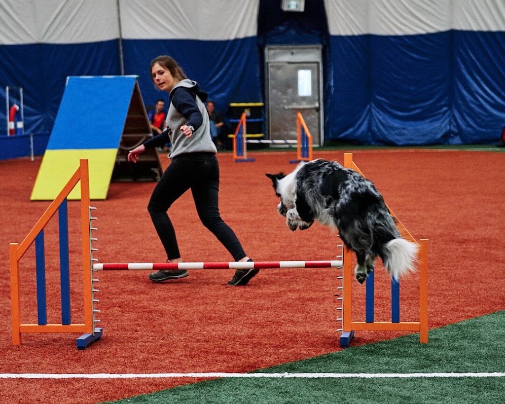 Alexandra Côté, entrainement canin | 3755 Chem. de lAéroport, Thetford Mines, QC G6G 5R7, Canada | Phone: (418) 334-9974