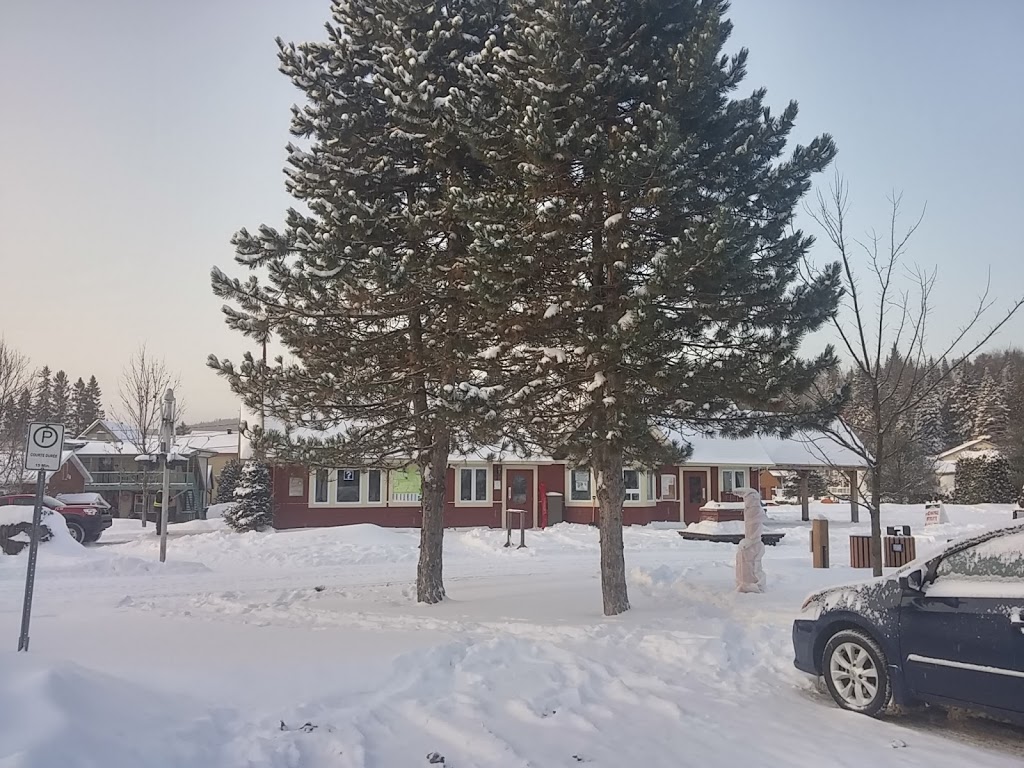 Petit Train Du Nord | Val-David, QC J0T 2N0, Canada | Phone: (450) 745-0185