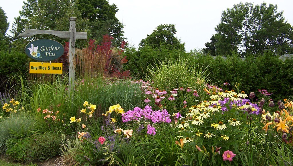 Gardens Plus | 136 County Rd 4, Peterborough, ON K9L 1V6, Canada | Phone: (705) 742-5918