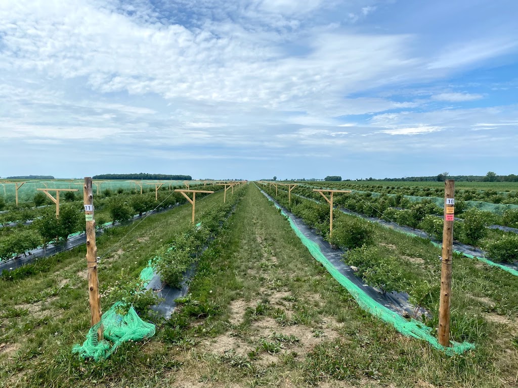 Ferme Les Délices du Rapide | 8250 Chemin du Rapide-Plat N, Saint-Hyacinthe, QC J2R 1H6, Canada | Phone: (450) 501-0039