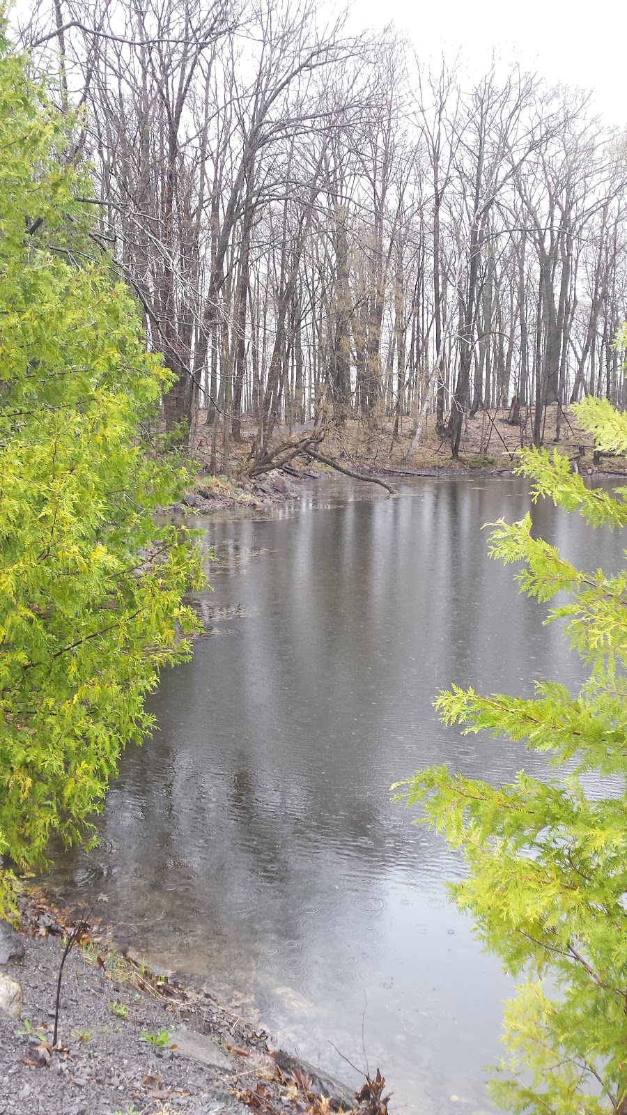 Morris Island Conservation Area | 156 Morris Island Dr, Fitzroy Harbour, ON K0A 1X0, Canada | Phone: (613) 253-0006