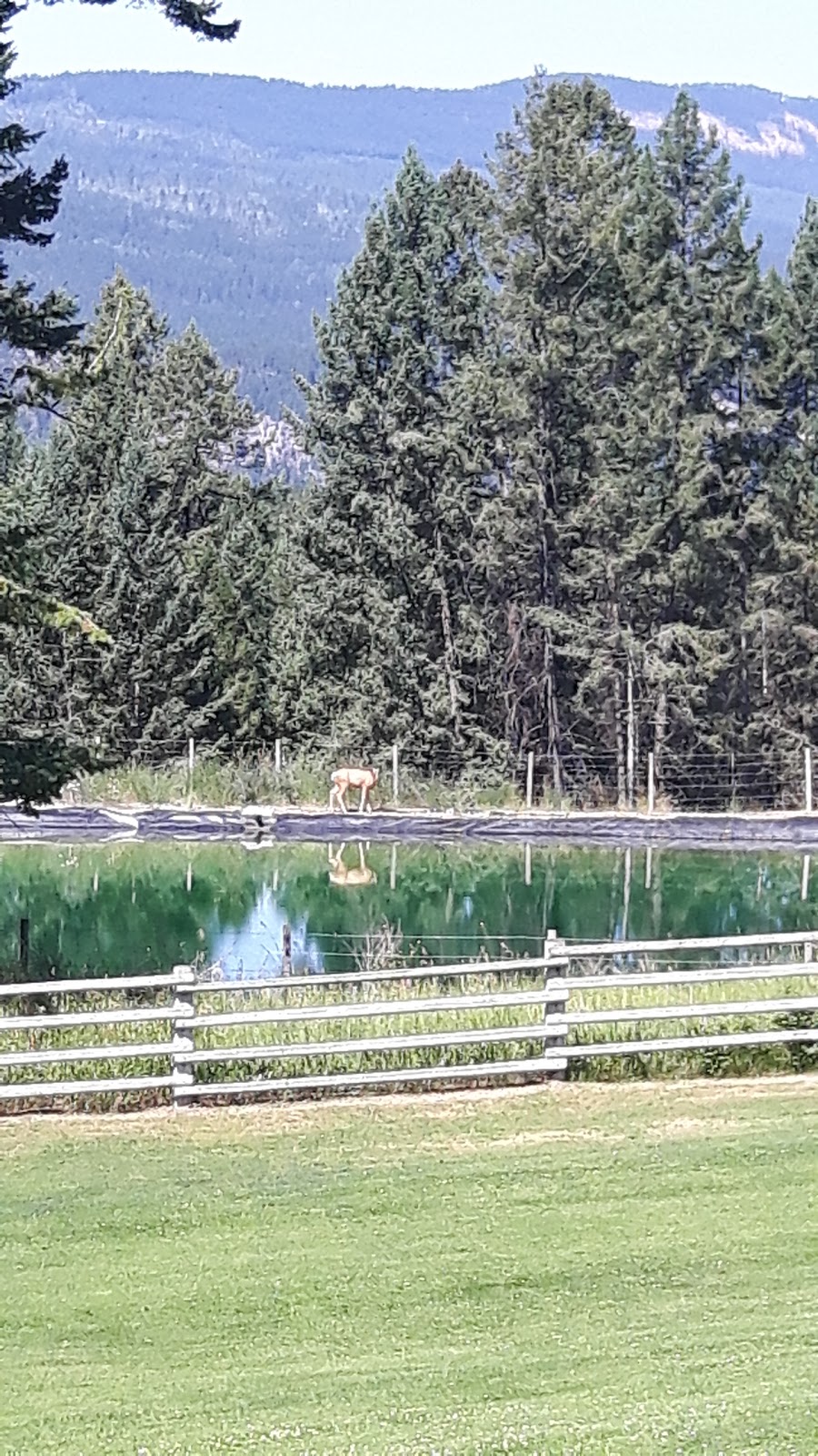 Edgewater Hilltop RV Park | 5585 BC-95, Edgewater, BC V0A 1E0, Canada | Phone: (250) 347-6502