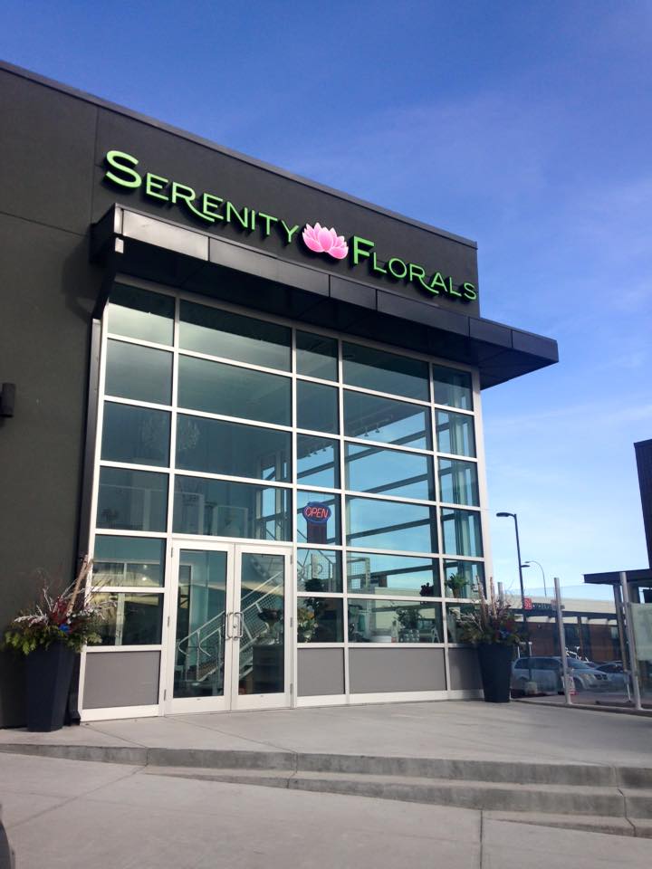 Serenity Florals | City Wide Free Delivery, Calgary, AB T3R 0K4, Canada | Phone: (587) 349-0989