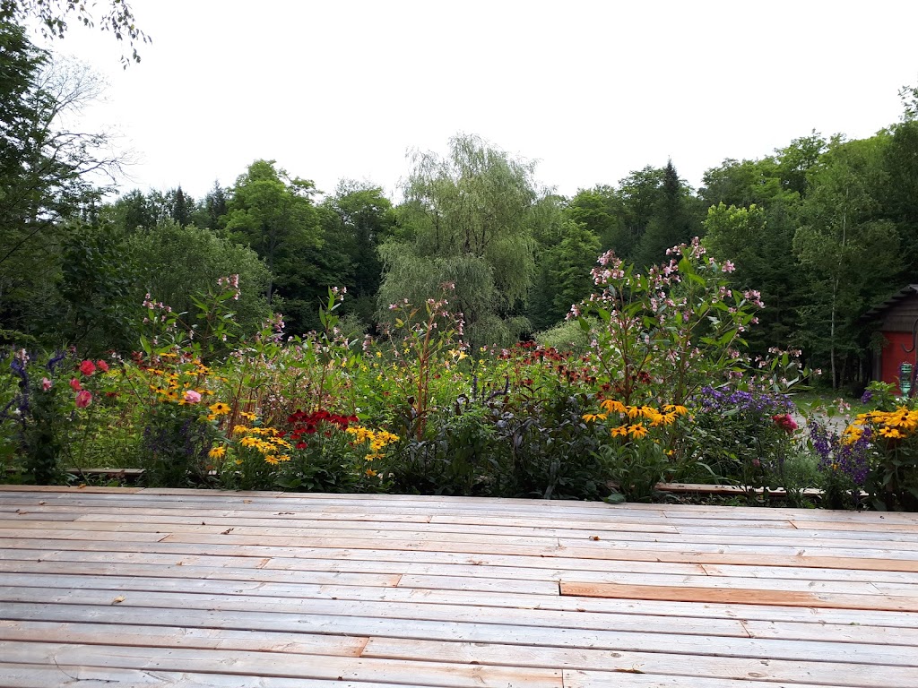 Reflection B&B | 12612 ON-118, Algonquin Highlands, ON K0M 1J1, Canada | Phone: (705) 457-2119