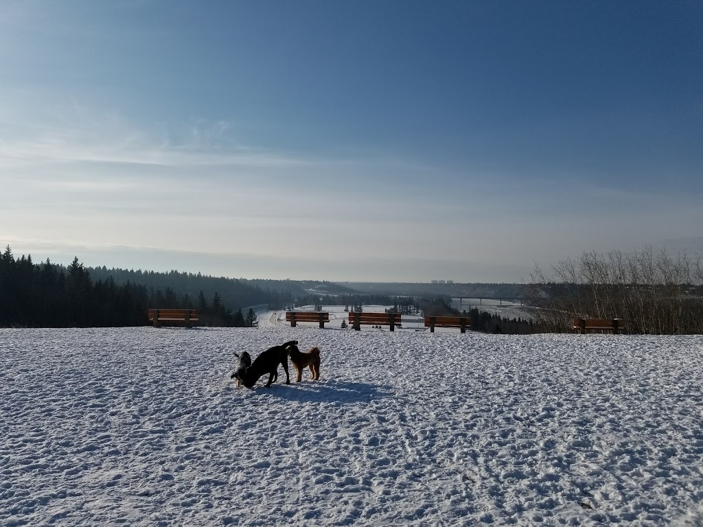 Belgravia Off Leash Site | Saskatchewan Dr NW, Edmonton, AB T6G 2A8, Canada
