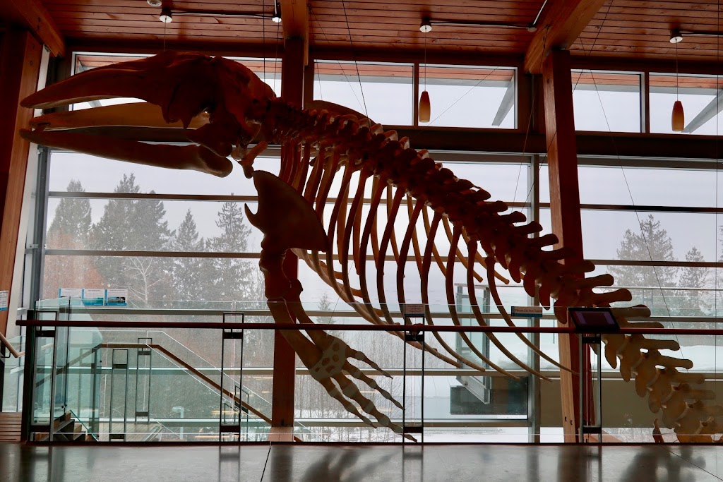 Deep Bay Marine Field Station | 370 Crome Point Rd, Bowser, BC V0R 1G0, Canada | Phone: (250) 740-6611