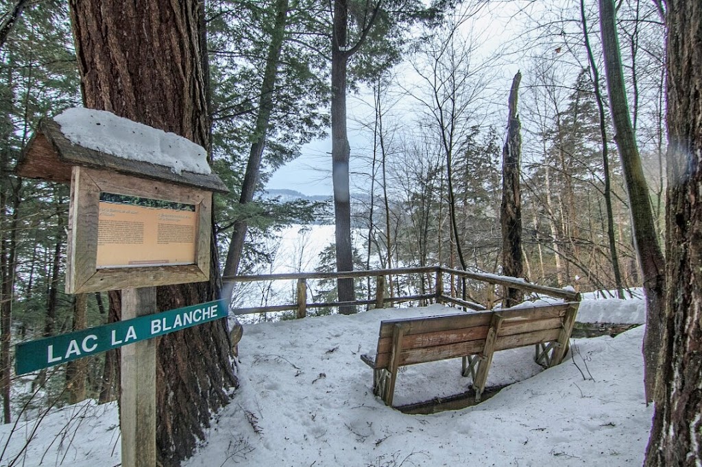 La Forêt Blanche Ecological Reserve | 300 Chemin Saddler, Mayo, QC J8L 4L8, Canada | Phone: (819) 281-6700