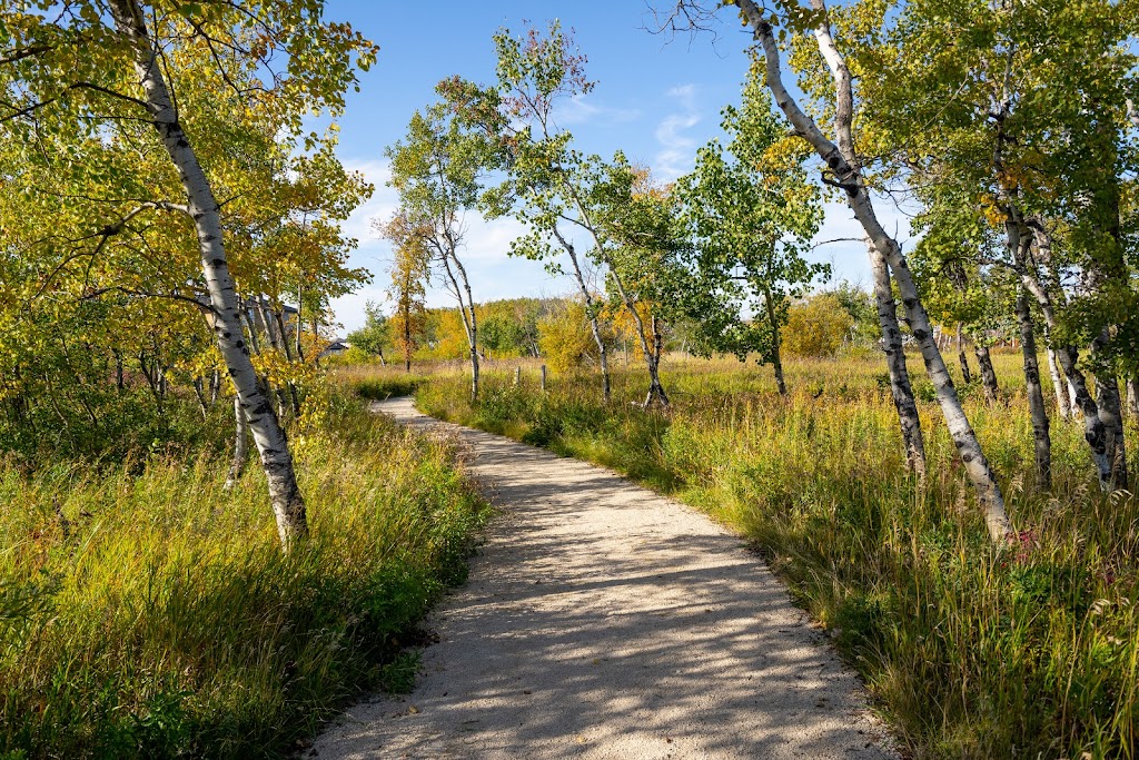 Aurora at North Point | 100 N Point Blvd, Winnipeg, MB R2V 5B5, Canada | Phone: (780) 455-3098