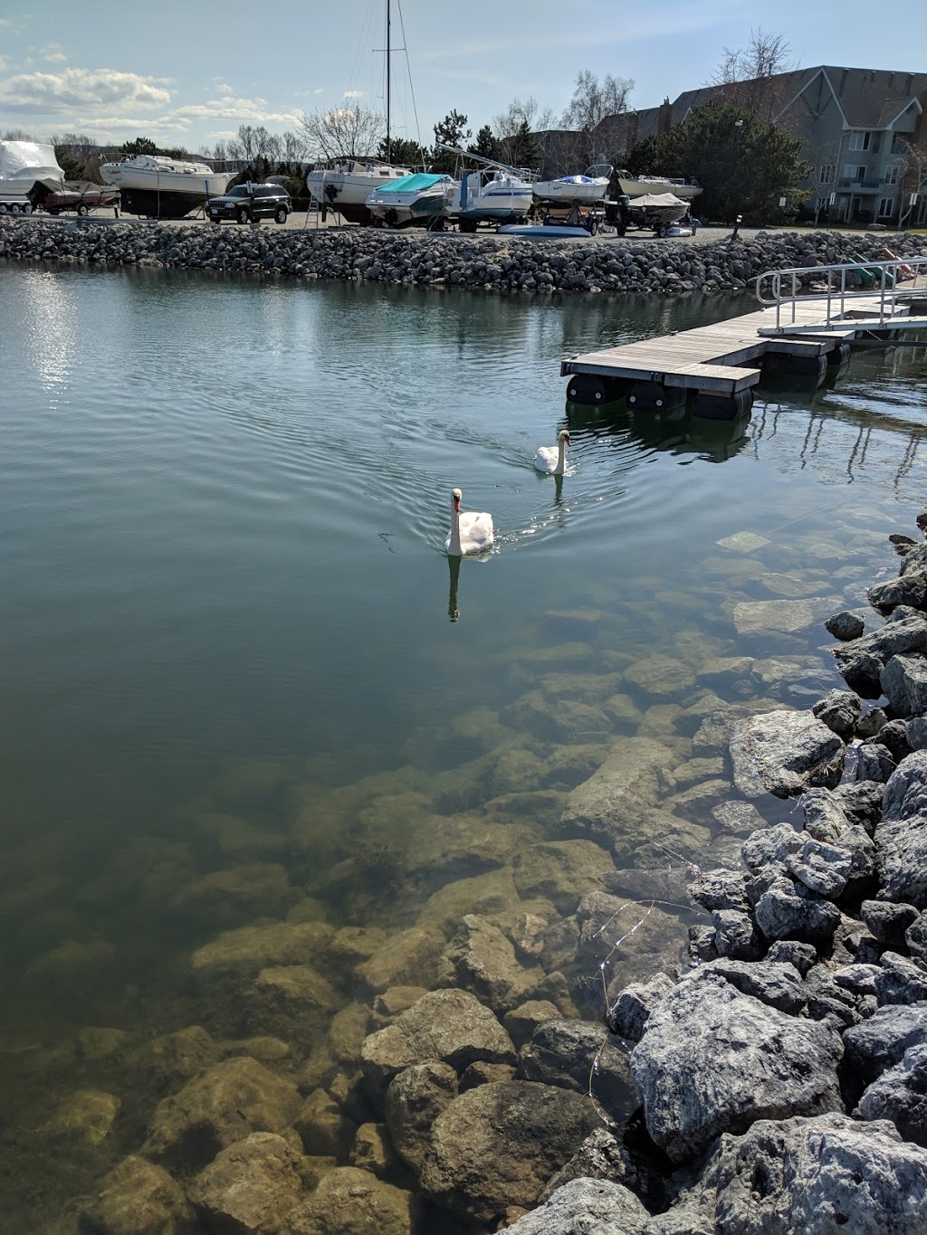 Lighthouse Point Shared Facilites | 470 Mariners Way, Collingwood, ON L9Y 5C7, Canada | Phone: (705) 445-1636