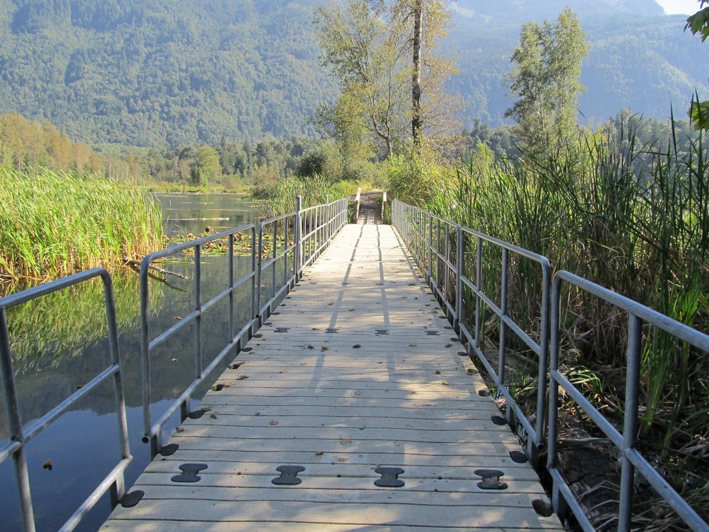 Cheam Lake Wetlands Regional Park | 53480 Elgey Rd, Rosedale, BC V0X 1X1, Canada | Phone: (604) 702-5000