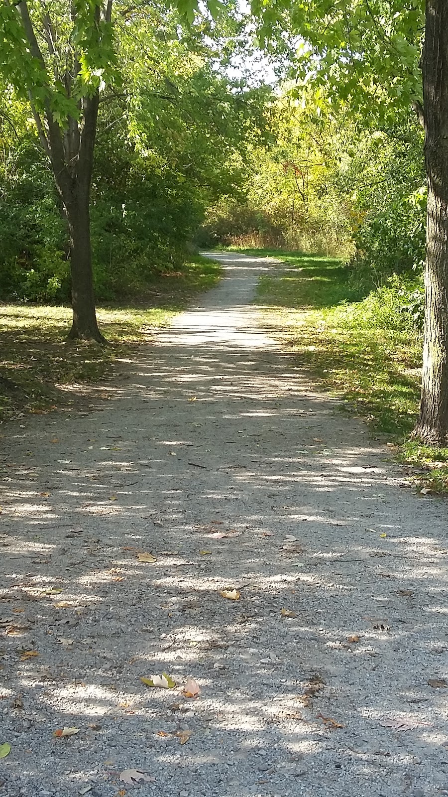 Rathwood District Park | 1095 Rathburn Rd E, Mississauga, ON L4W, Canada