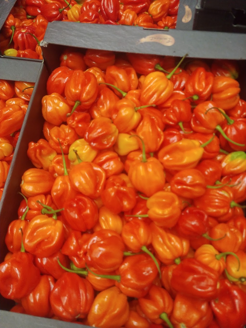 Pardess Farms Montreal | 685 Rue Brunet, Saint-Laurent, QC H4M 1Y1, Canada | Phone: (514) 667-6774