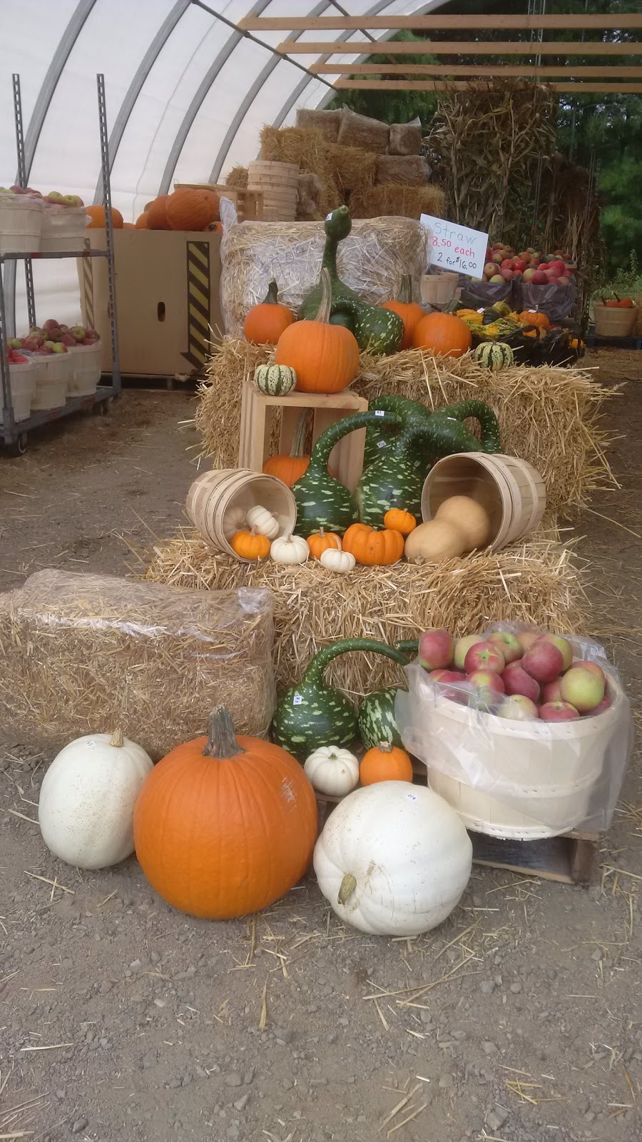 Landis Fruit Market | 503 Hastings St N, Bancroft, ON K0L 1C0, Canada | Phone: (613) 332-6830
