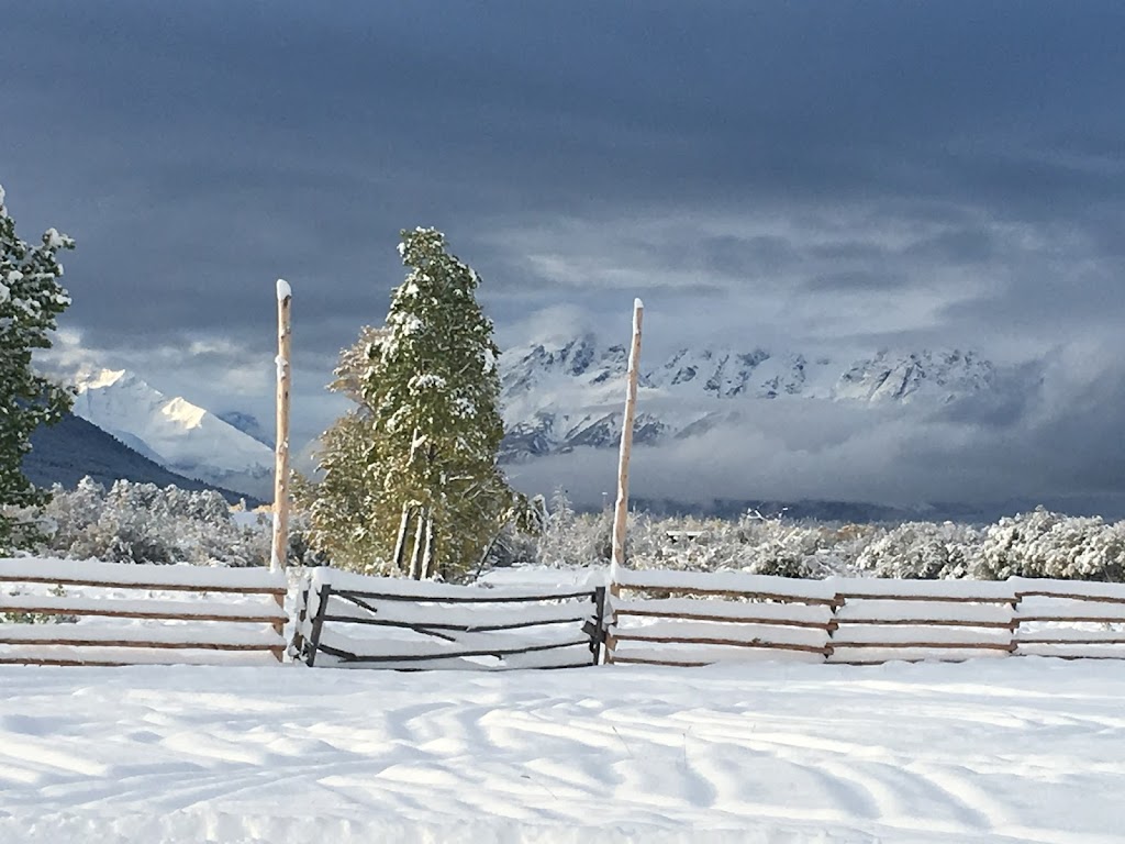 Flying L Ranch, Michael Lares | Nemaiah Valley Rd, Nemaiah Valley, BC V0L 1X0, Canada | Phone: (250) 302-2989