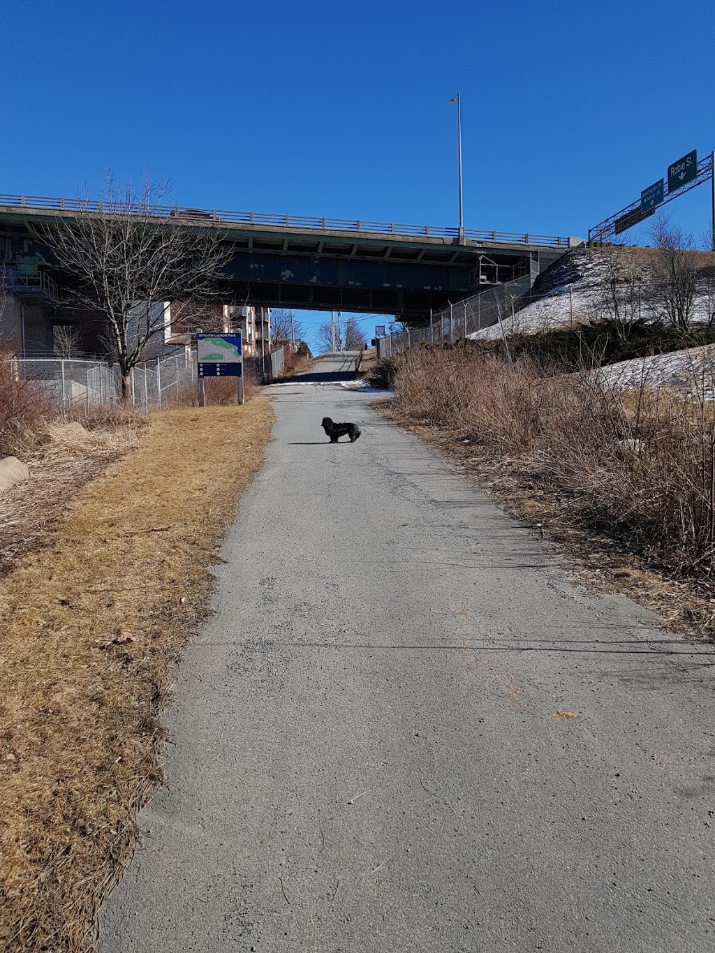 Africville Trails | 3919 Novalea Dr, Halifax, NS B3K, Canada