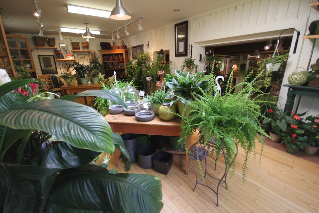 Westmount florist | 343 Chemin du Bord-du-Lac, Pointe-Claire, QC H9S 4L8, Canada | Phone: (514) 697-5858