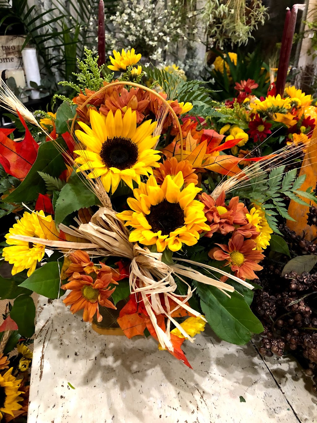 The Potting Shed & Flower Shop | 34 Old Rd, Nauwigewauk, NB E5N 6Y3, Canada | Phone: (506) 832-0099