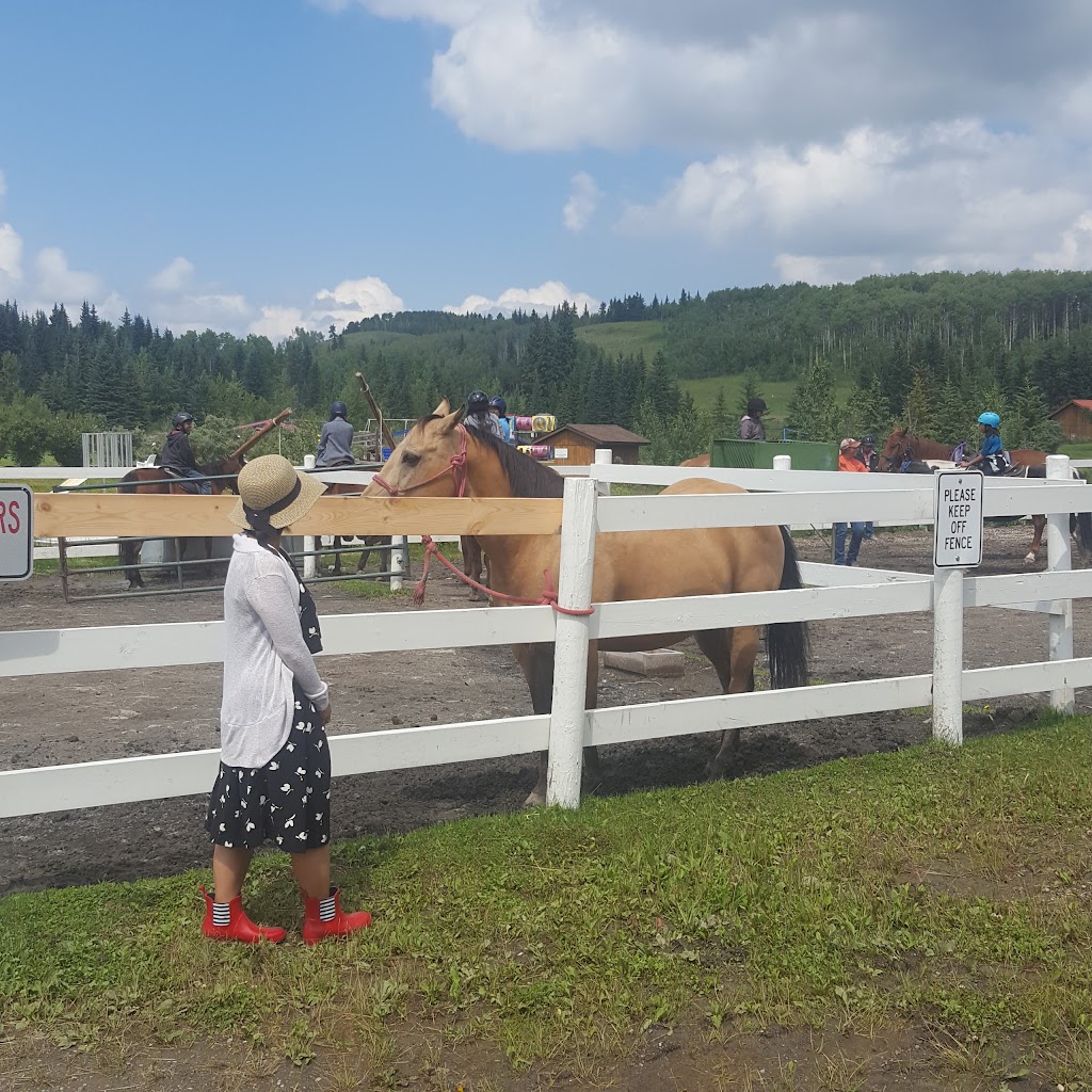 Our Lady Queen of Peace Ranch | 258 Mountain Lion Dr, Bragg Creek, AB T0L 0K0, Canada | Phone: (403) 949-2044