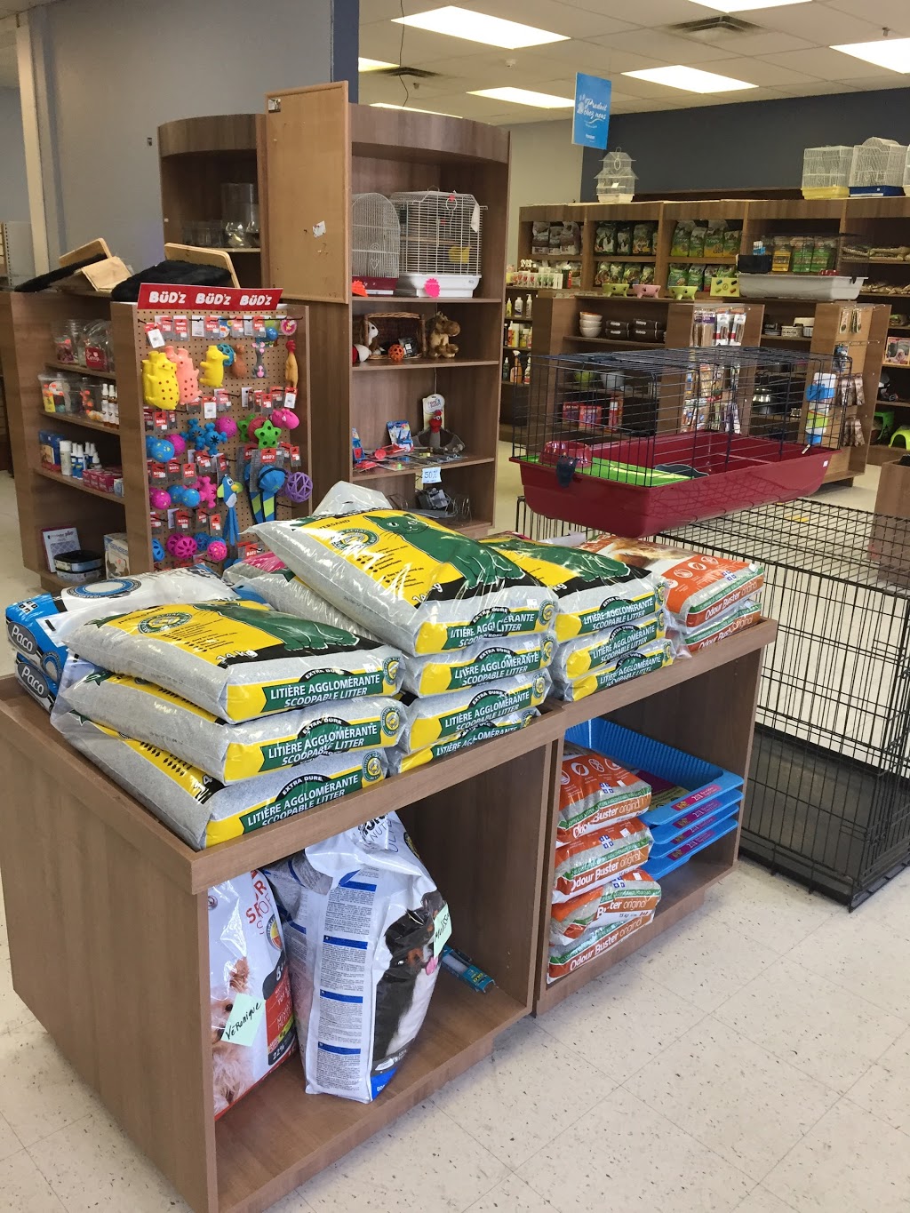 Animalerie Monde Animal | 5500 Rue Rodrigue, Terrebonne, QC J7M 2C1, Canada | Phone: (450) 477-7676